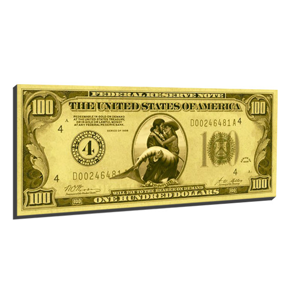 Foil Pirate Magnet