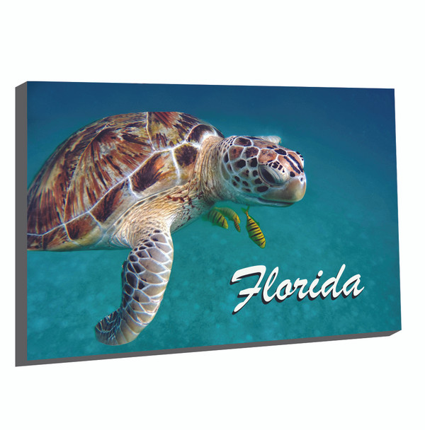 FL1 Turtle Foil Magnet Florida