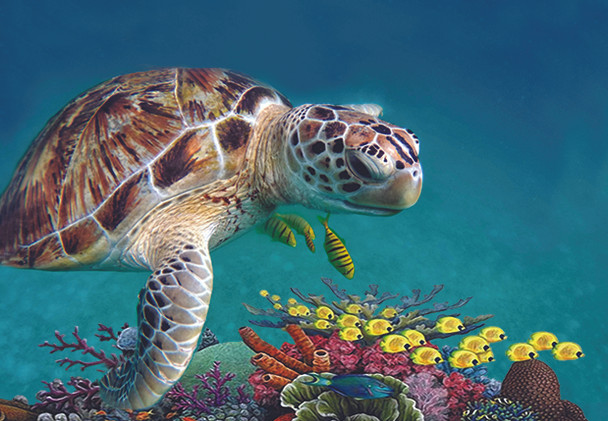 Turtle Foil Magnet Plain