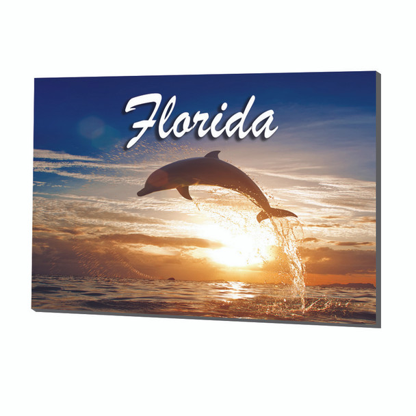 FL2 Turtle Foil Magnet Florida