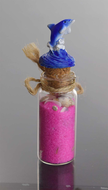 Dolphin  Sand Bottle Magnet