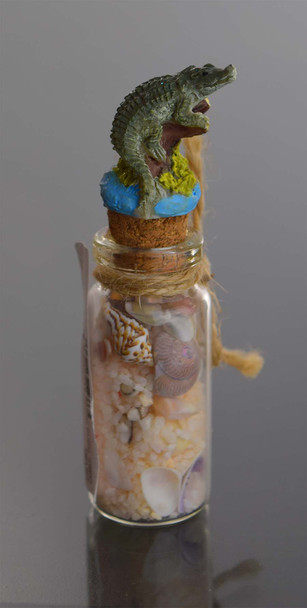 Gator  Sand Bottle Magnet