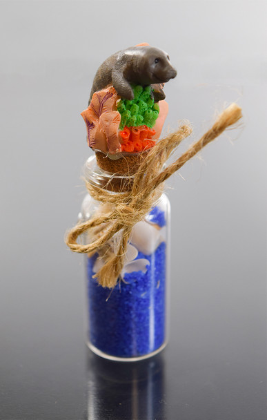 Manatee  Sand Bottle Magnet