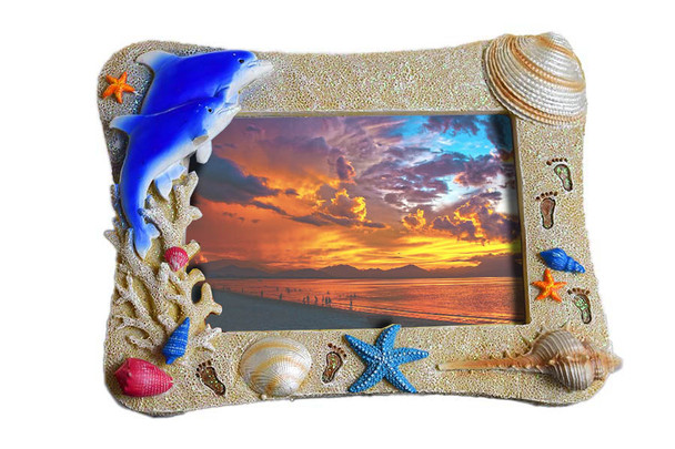Dolphin 4"x6" Frame