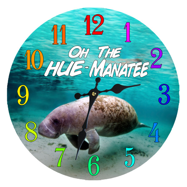 Manatee Glass Clock 13"