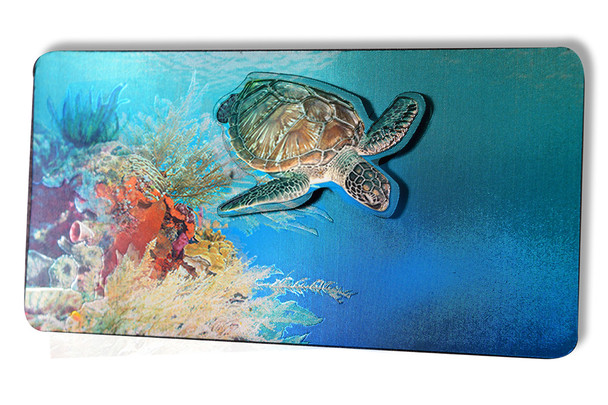 Double Foil Magnet Turtle