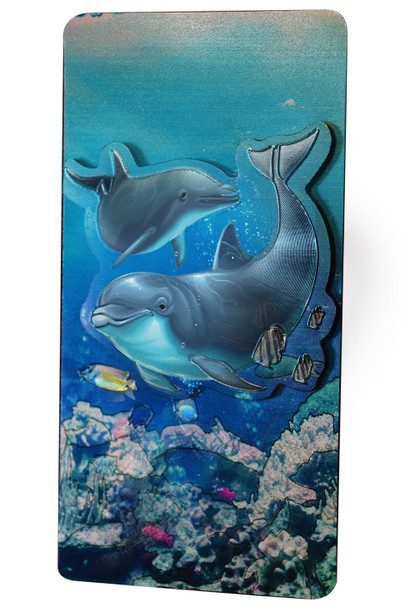 Double Foil Magnet Dolphin