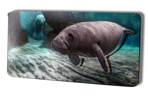 Double Foil Magnet Manatee
