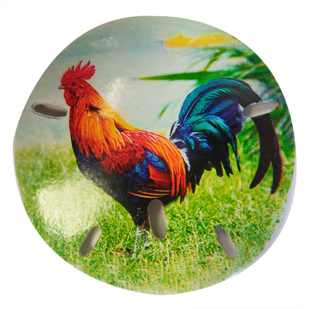 Rooster Sand Dollar Magnet  3"