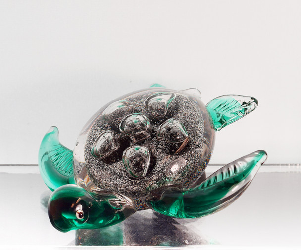 Glass Turtle