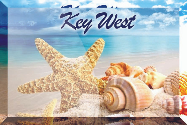 Glass Magnet Shells-Key West