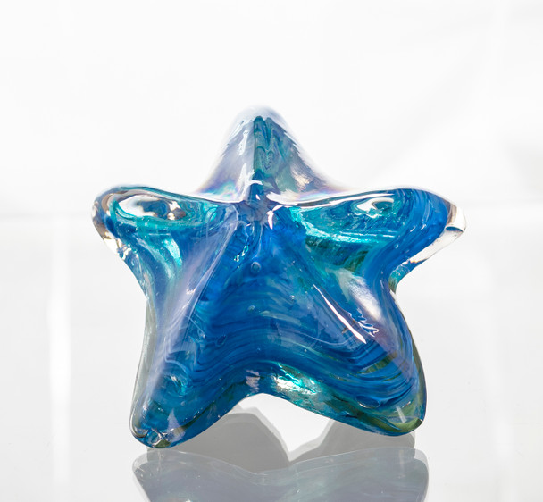 Star Fish Blue Florecent 3"