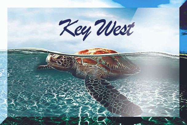 Glass Magnet Turtle Key West Name Drop