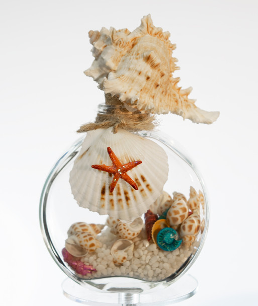 Glass Bottle with Shells 4.5"