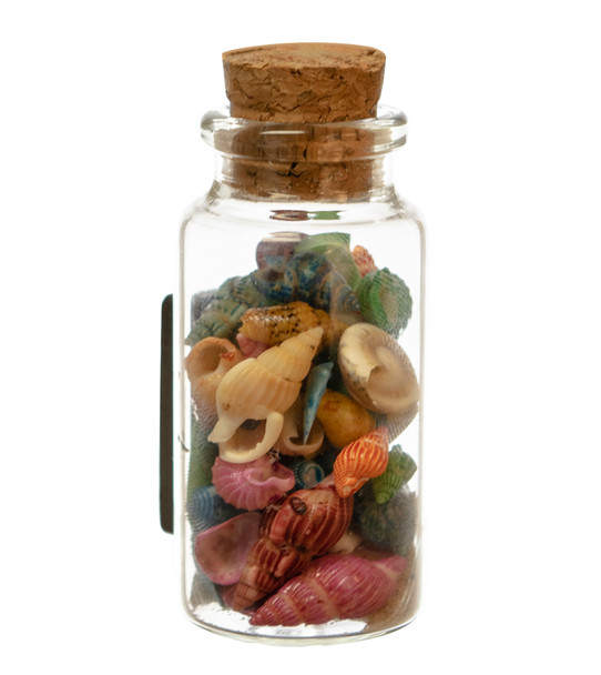 Glass Magnet w/ Sand & shells no Topper 2.5"