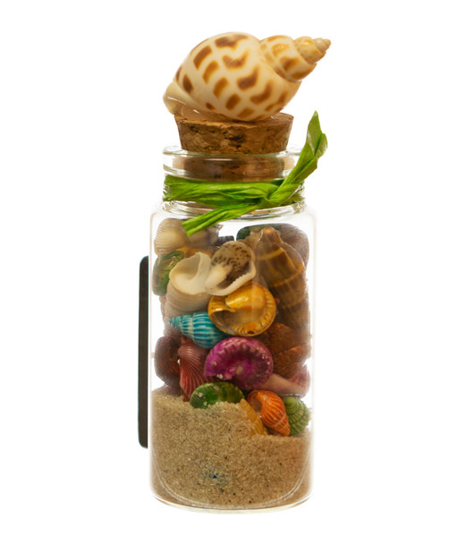 Glass Magnet  w/ Sand & shells w/ Shell Topper 3.5"