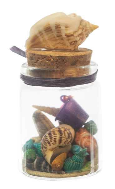 Small Bottle w/ Sand & shells w/ Shell Topper 3.75"