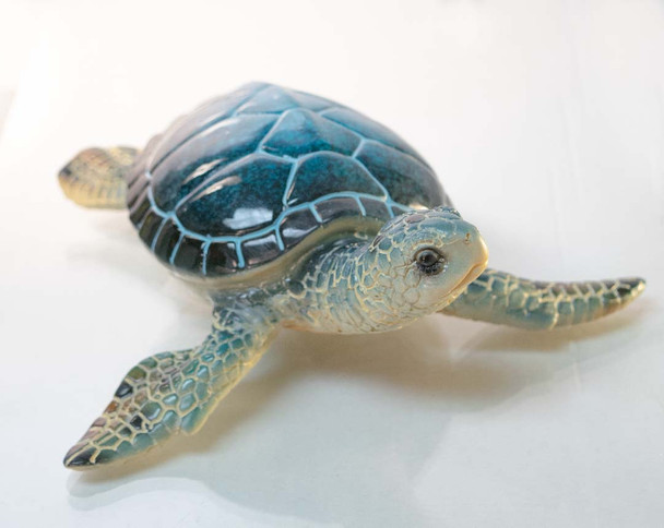 Blue Turtle 8"