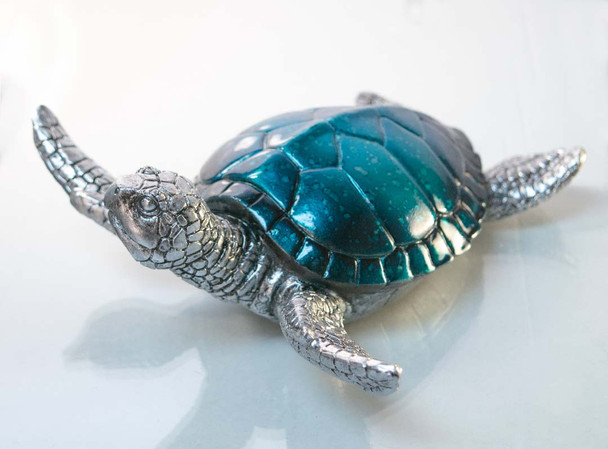 Blue Turtle 8"