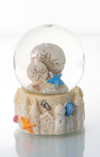 Sand Dollar Water Globe