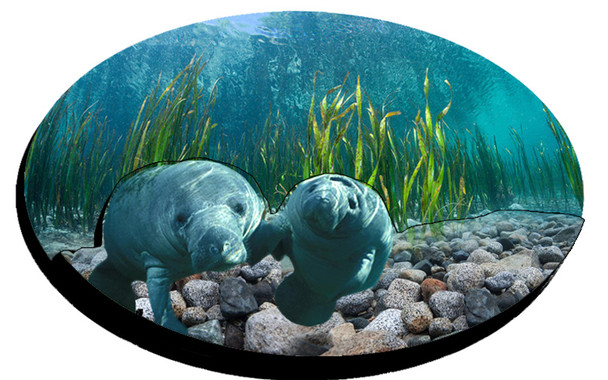 Double Epoxy Foil Manatee Couple Magnet