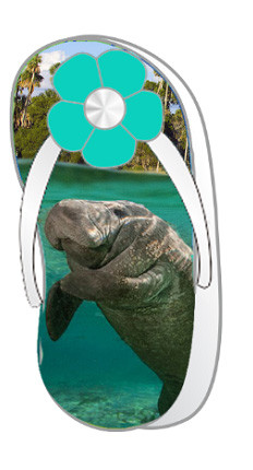 Foil Clip Magnet Manatee