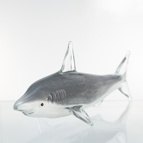 G101 Glass Shark