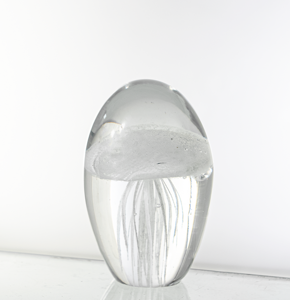 White Jellyfish