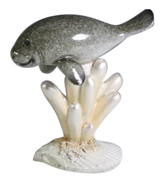 Manatee On Coral