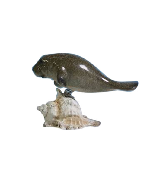 Manatee On Shell