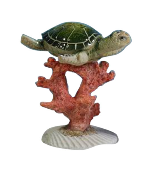 Turtle on Coral