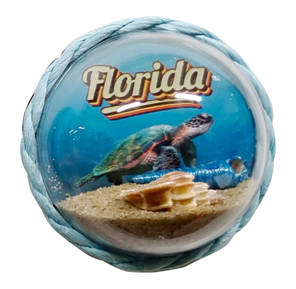 Bubble Mag Turtles Florida