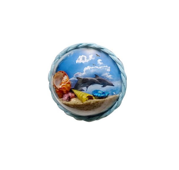 Bubble Mag Dolphin