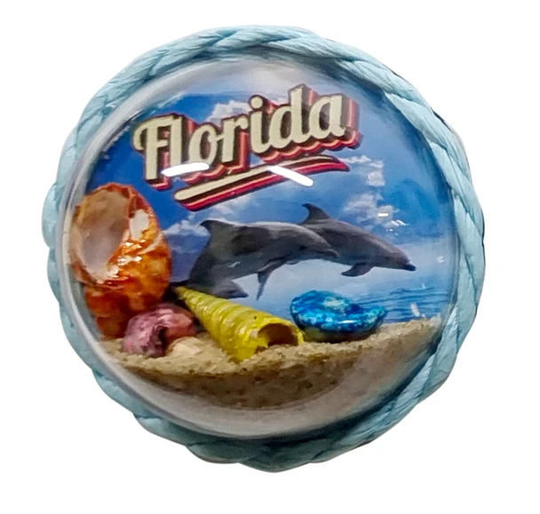 Bubble Mag Dolphin Florida