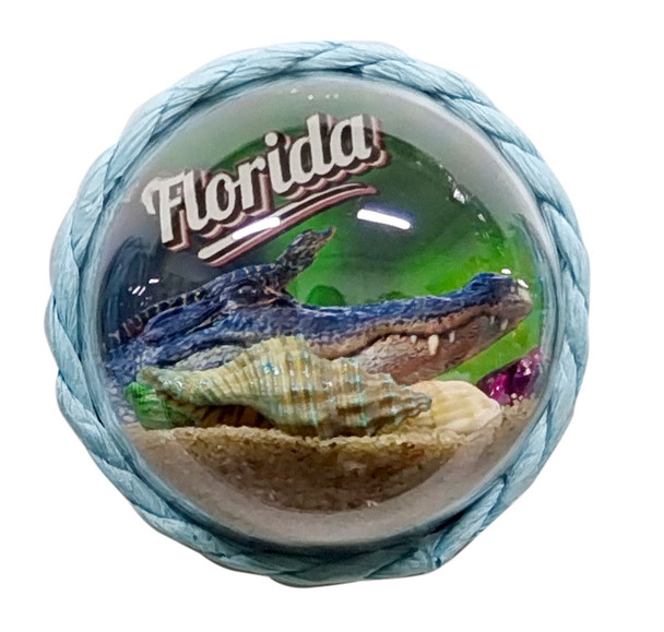 Bubble Mag Alligator Florida