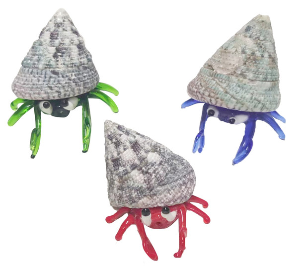 Mini Hermit crab Assorted