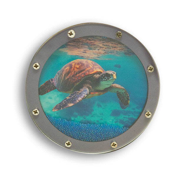 Turtle Port Hole MDF Magnet
