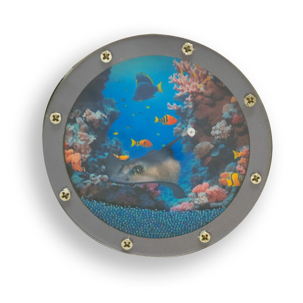 Stingray  Port Hole MDF Magnet