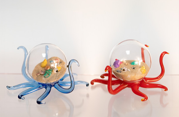 Octopus with Sand Fig