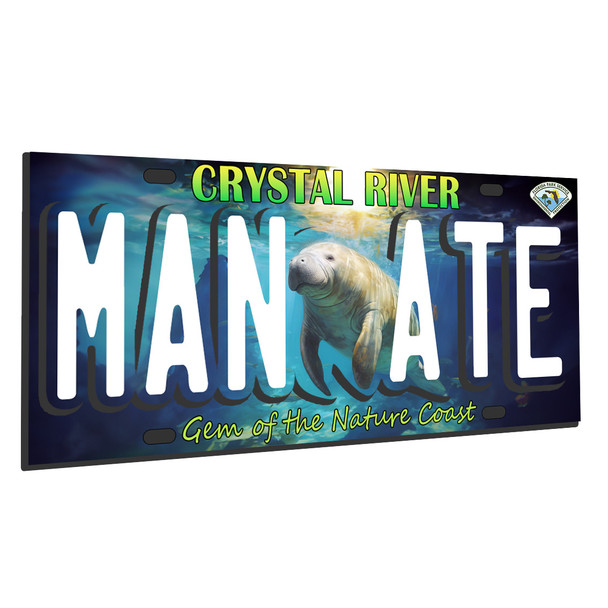 FD5253 Foil magnet Crystal River Plate