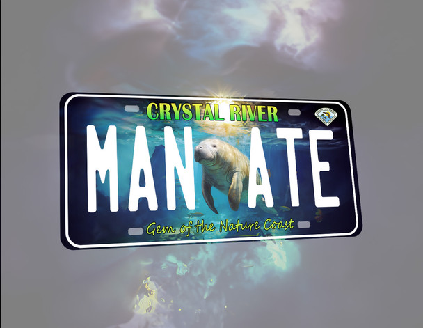 T005 License Plate Manatee
