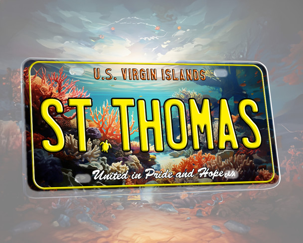 T007 License Plate St Thomas