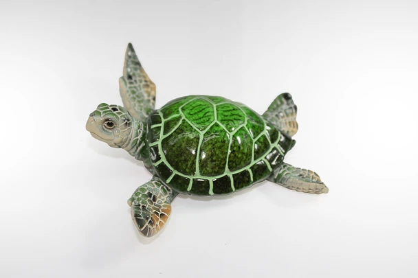 5406 Turtle Green