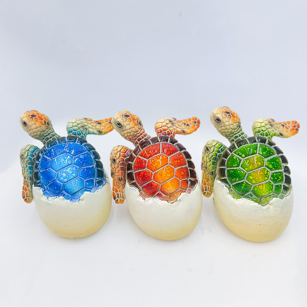 5407 Assorted Baby Turtle