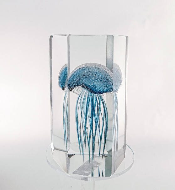 360 Glass Jelly 7"