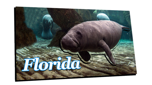 5003Florida Foil Manatee