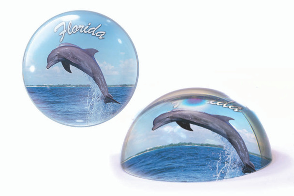 05 Florida Paperweight Dolphin