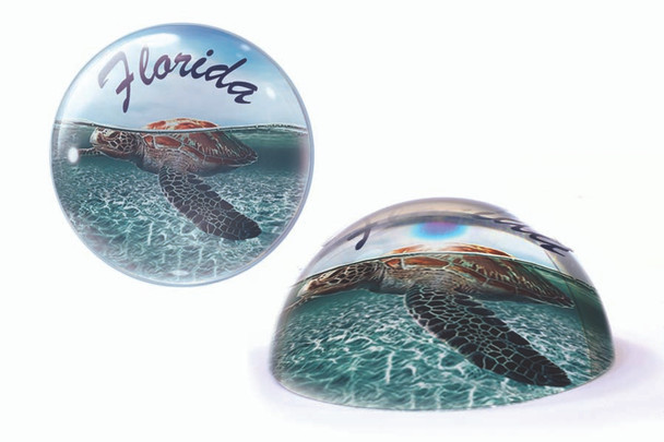 07 Florida Paperweight Sea Turtle