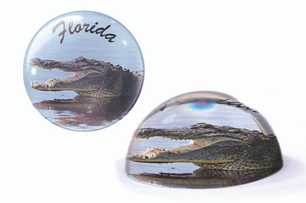 08 Florida Paperweight Gator