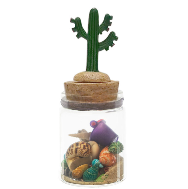 BSM Medium Bottle Cactus